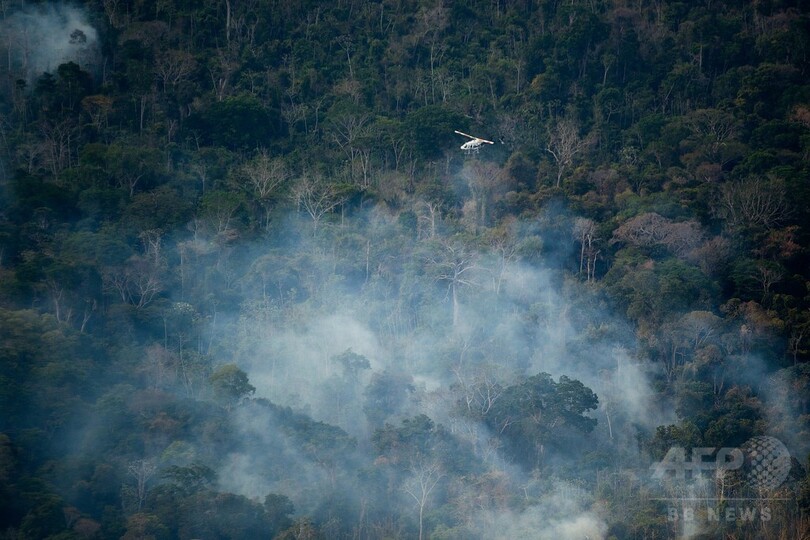 アマゾンで大森林火災、2か月延焼 違法伐採業者が放火か