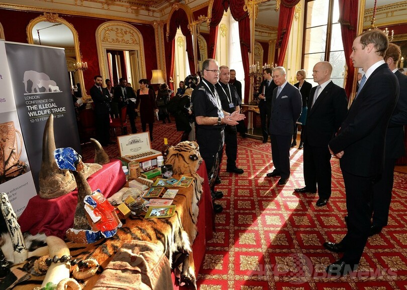 野生動物の違法取引の根絶を、40か国以上が宣言に署名