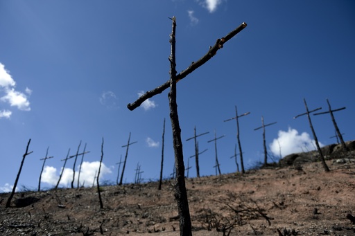 山火事跡地に立ち並ぶ十字架200基、スペイン 写真14枚 国際ニュース