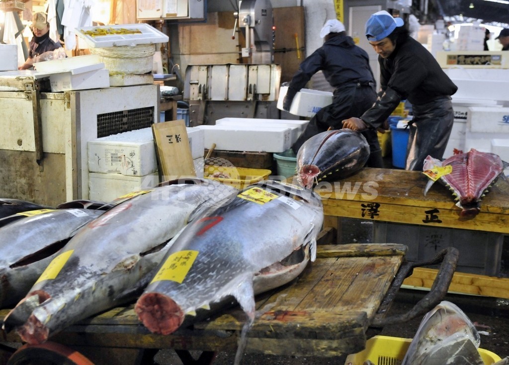 農水副大臣、クロマグロ禁輸拒否を表明 農水副大臣、クロマグロ禁輸拒否を表明
