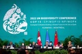 カナダ・モントリオールで開かれた国連生物多様性条約第15回締約国会議（COP15）の様子（2022年12月19日撮影）。(c)Lars Hagberg / AFP