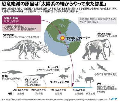 恐竜絶滅は太陽系の端からやって来た彗星が原因 米研究 写真4枚 国際ニュース Afpbb News