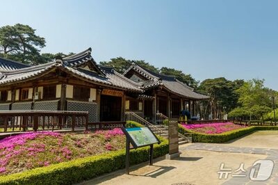 韓国・江陵の春観光…桜と文学を楽しむ許筠・許蘭雪軒公園が注目