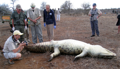 南アフリカの国立公園で170頭以上のワニが死亡、待たれる原因究明