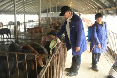 中国の1号文書、18年連続で農村問題がテーマ