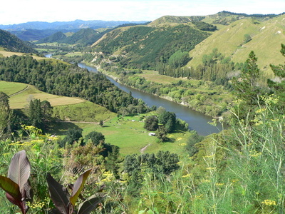 森で迷った女性、母乳で飢えしのぎ生還 ニュージーランド