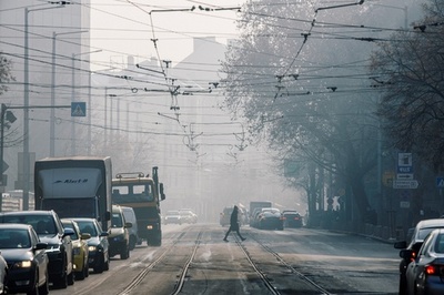 欧州の子ども、大気汚染で年1200人が早死に EU調査