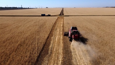【解説】ウクライナ侵攻で世界は「小麦戦争」へ