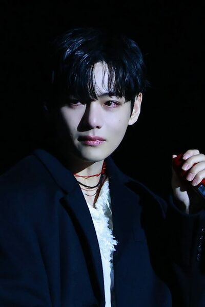 BTSのV、感涙のステージ「本当に会いたかった」