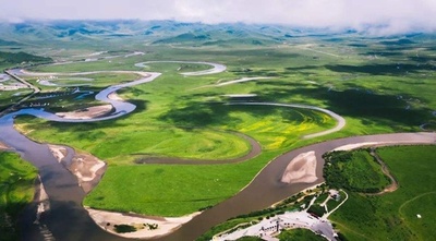 重点保護対象の野生動植物の74％が効果的保護 中国