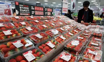 サムギョプサルよりイチゴの値段が高い…韓国・カフェ業界は「冷凍モノ」で対応、期間限定メニュー続々