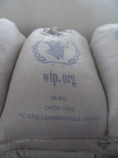 北朝鮮、国連支援を「敵対勢力が政治化」と主張 関与削減を要求