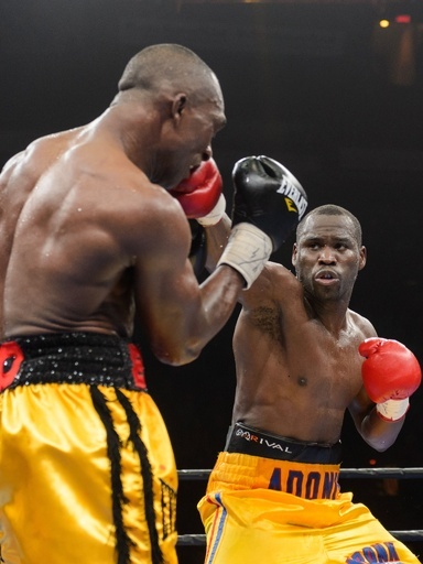 スティーブンソンが判定勝ち、5度目の王座防衛に成功