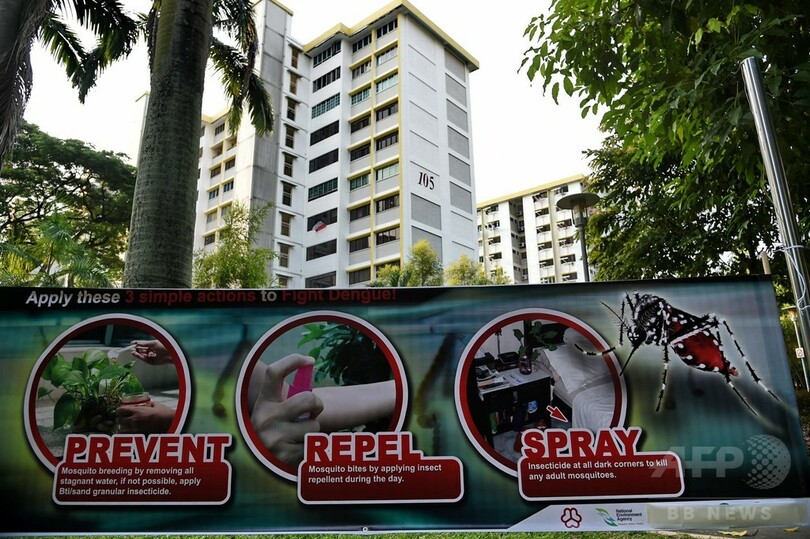 シンガポールのジカウイルス感染者、82人に急増 駆除作業急ぐ