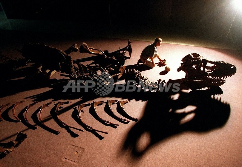 「1本指」の新種肉食恐竜を発見、中国