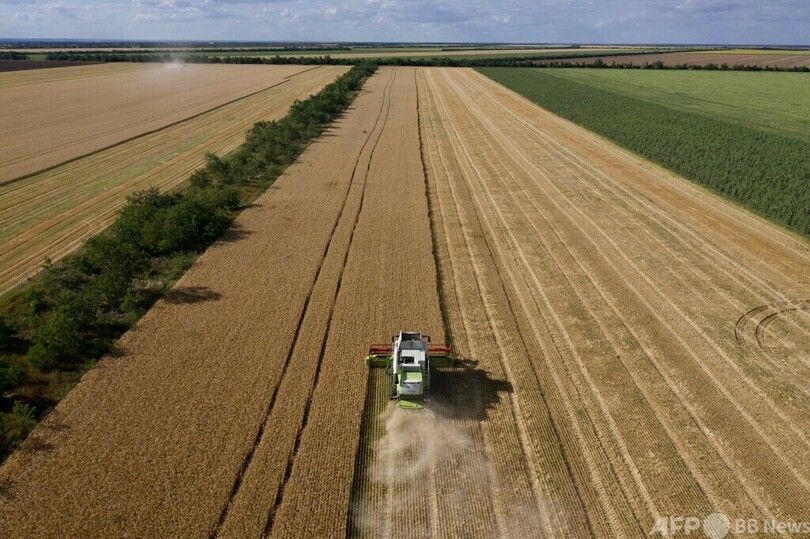 ウクライナ東部の農場、ロシアに穀物販売
