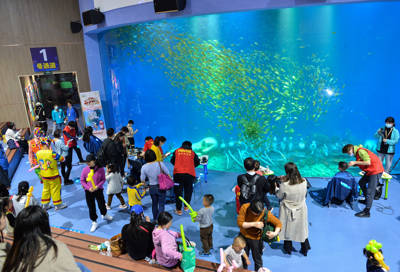 水族館で伝統の 竜抬頭 順調な一年願い散髪 安徽省 写真10枚 国際ニュース Afpbb News