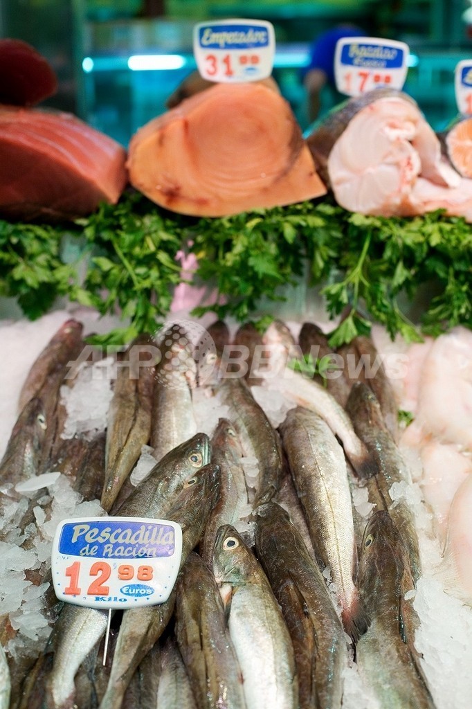 深海漁業を規制する国際指針、FAOが採択 深海漁業を規制する国際指針、FAOが採択