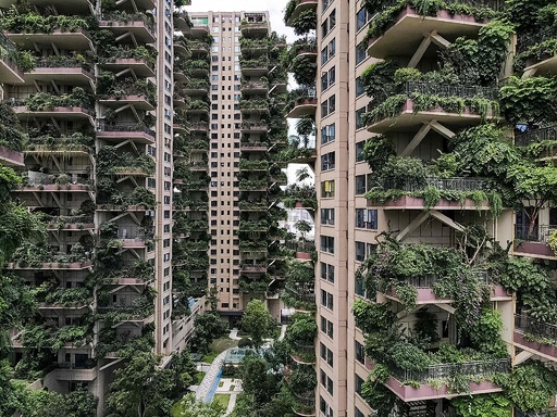 都会の楽園 のはずが 緑あふれる集合住宅 蚊の来襲でほぼ無人に 中国 写真8枚 国際ニュース Afpbb News 都会の楽園 のはずが 緑あふれる集合住宅 蚊の来襲でほぼ無人に 中国 写真8枚 国際ニュース Afpbb News