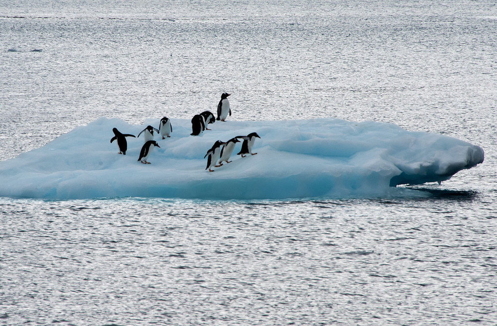 南極の棚氷が激減、今後200年で半減の可能性も 写真1枚 国際ニュース