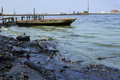 原油で汚染されたベネズエラ北西部にあるマラカイボ湖の岸辺。カビマスで（2019年6月13日撮影）。(c)YURI CORTEZ / AFP