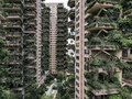 中国四川省成都で、植物に覆われた集合住宅のベランダ（2020年8月3日撮影）。(c)STR / AFP