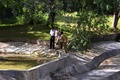 インド・ニューデリー（New Delhi）にある動物園で、男性が襲われたホワイトタイガーの展示場を調べる警察官と動物園職員（2014年9月23日撮影）。(c)AFP/CHANDAN KHANNA