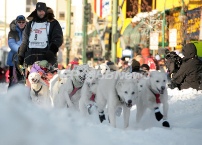 山あり谷ありの日間 アラスカ 犬ぞりレース 開催 米国 写真6枚 国際ニュース Afpbb News