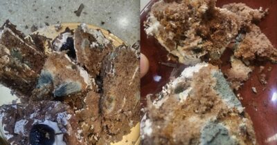 韓国・無人売り場でケーキを買ったら…中をみると「暗い緑色」の嫌な予感