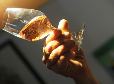 「ワインをよく知らない」、フランス人の7割 専門誌調査