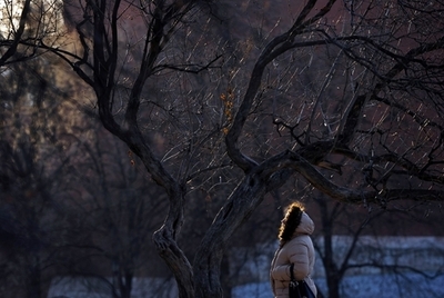 家庭内暴力で1時間に1人の女性が死亡、ロシア