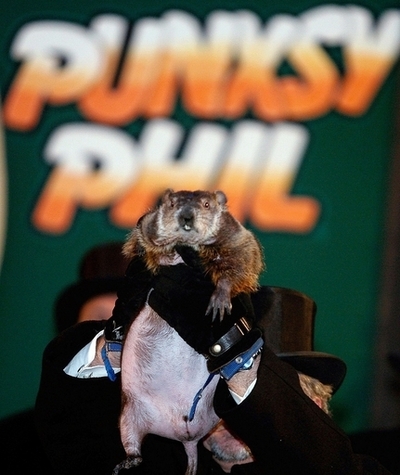 米国であの動物が「お告げ」、春はまだまだ？