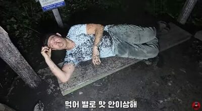 韓国で大量発生中の「ラブバグ」…ユーチューバーが捕獲してバーガーにする「衝撃の調理」