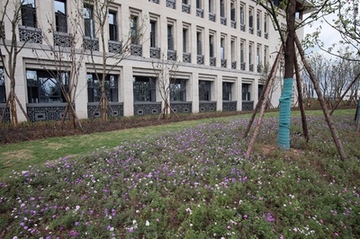 辛い料理、たばこ、化粧は禁止 中国・四川の「白酒学校」