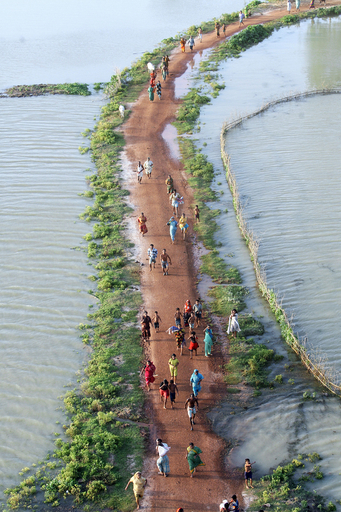 インド、豪雨による死者660人に
