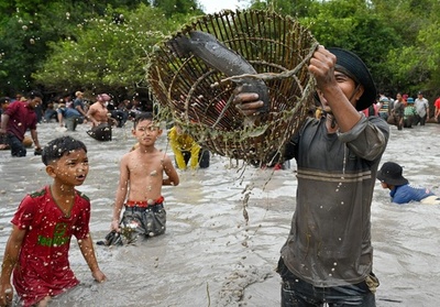 カンボジアで3年ぶり魚取り行事 伝統漁法にのっとり