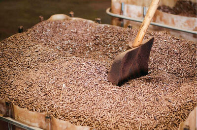 日本の低炭素発電を支えるカナダ産木質ペレット