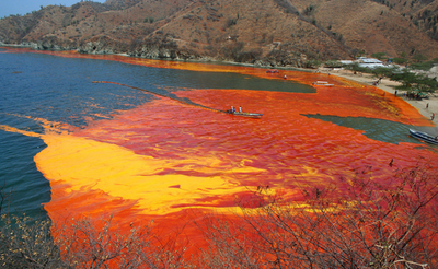 パーム油10トン流出、赤く染まるコロンビア沿岸