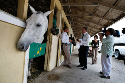 ポロ試合直前に馬21頭が急死、フロリダ州