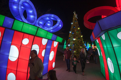 メキシコで「ルストピア」開幕、中南米最大級の光の祭典