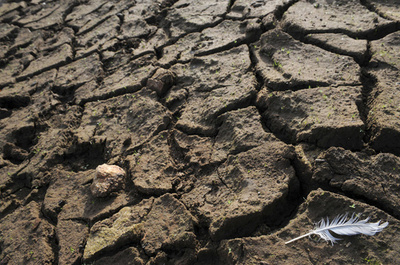 渇きの未来、迫る水危機