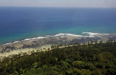 新婚旅行の英男性、新妻の目の前でサメに襲われ死亡 セーシェル