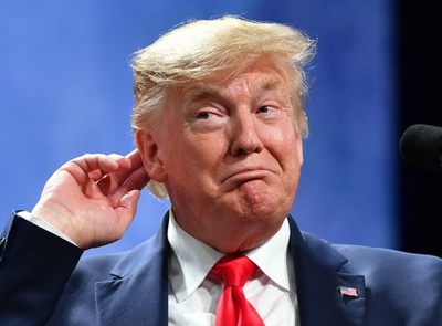 トランプ氏のツイートに脅威感じた、米弾劾裁判の首席検察官役が主張