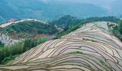 中国、新たに４件の世界かんがい施設遺産登録