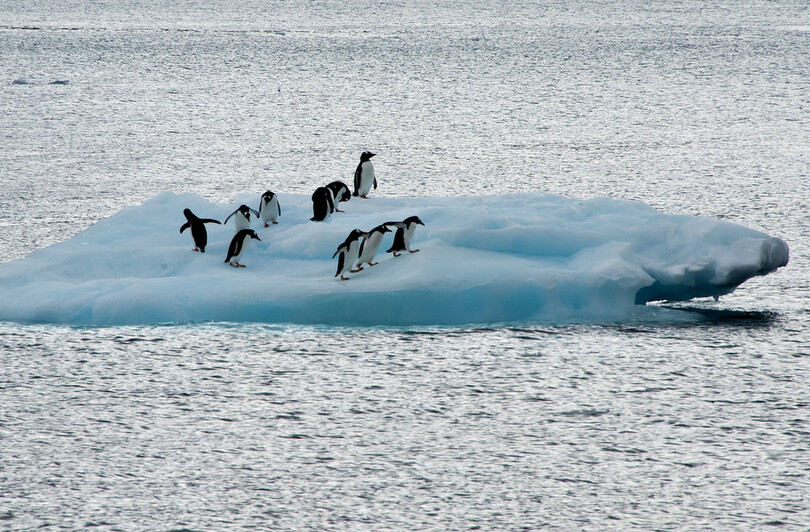 南極の棚氷が激減 今後0年で半減の可能性も 写真1枚 国際ニュース Afpbb News