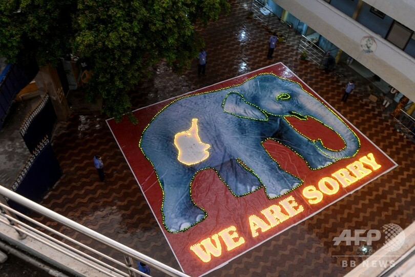 インド警察、爆発物入りの果物置いた男逮捕 妊娠中のゾウの死を受け