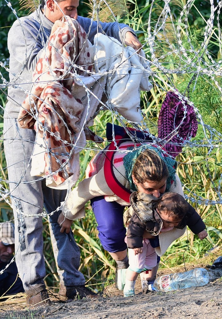 有刺鉄線くぐってハンガリー入りする移民たち