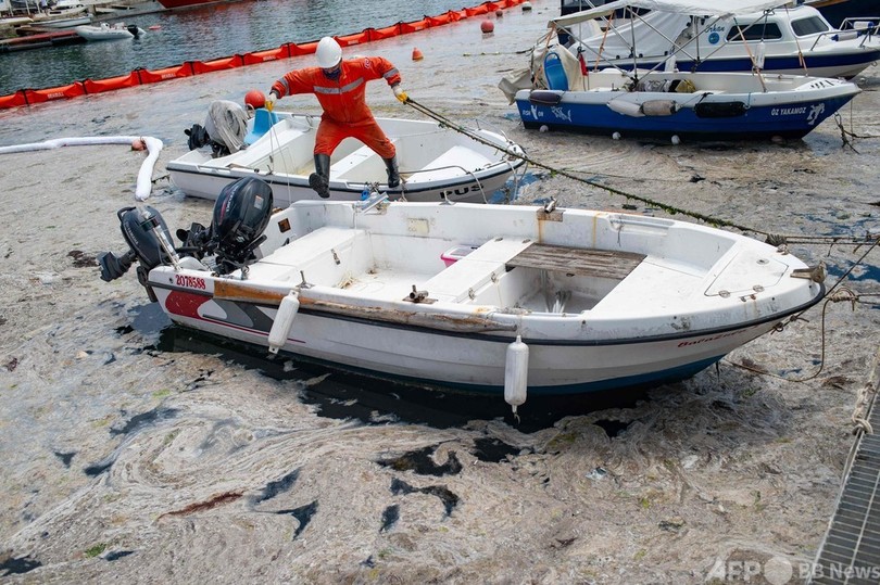 トルコの 海の鼻水 調査や除去作業進む 写真21枚 国際ニュース Afpbb News