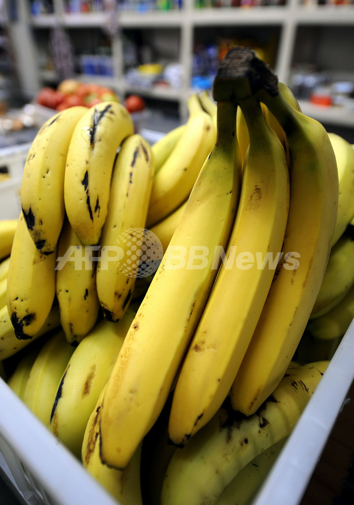 EU、中南米産バナナの輸入関税引き下げへ 写真2枚 国際ニュース:AFPBB News