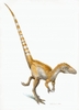 褐色と白の縞模様の尾を持つ、シノサイロプテリクス（Sinosauropteryx）の想像図(2010年1月27日公開)。(c)AFP/Original artwork copyright © Jim Robins